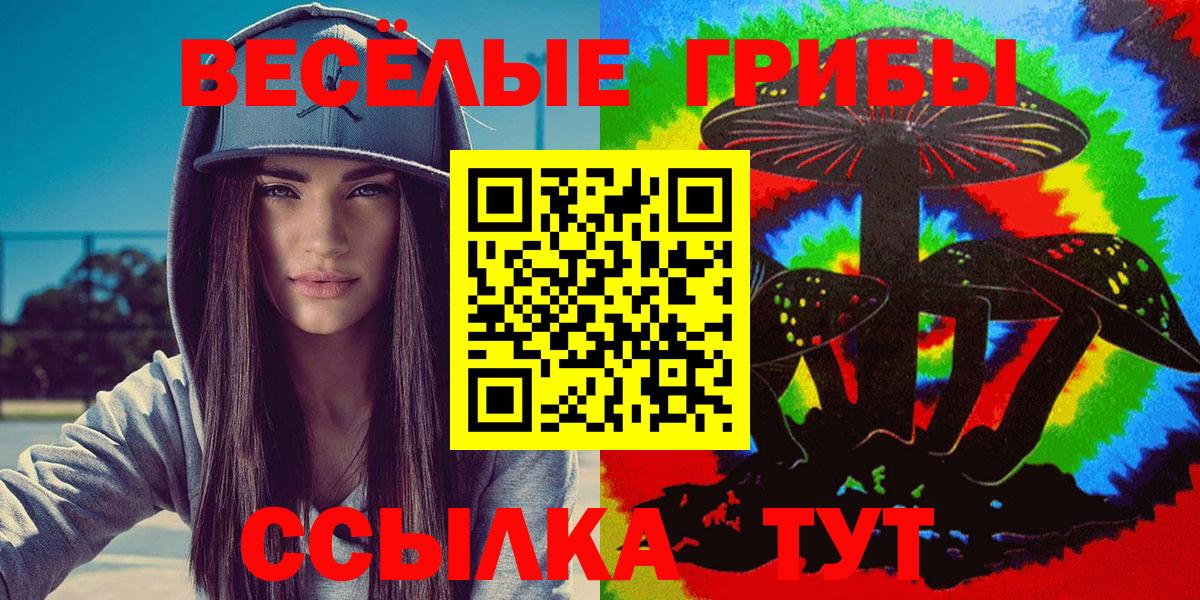 Асино  Галлюциногенные грибы мицелий  Вход с VPN 